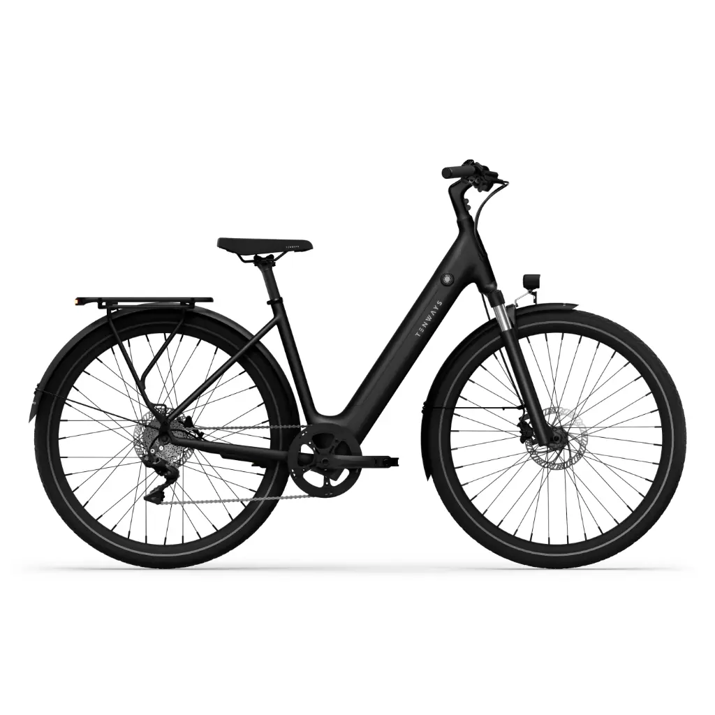 CGO800S EBIKE